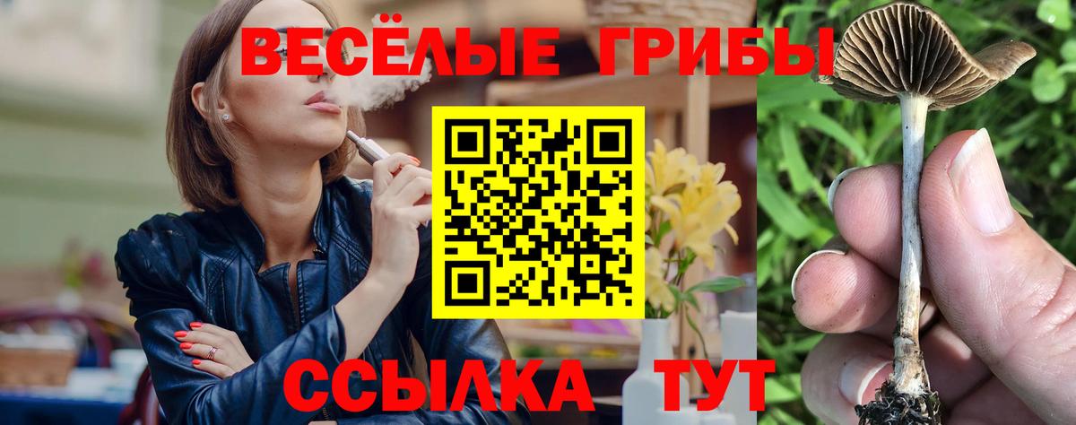 Псилоцибиновые грибы Magic Shrooms  Вход с VPN  Галлюциногенные грибы мицелий  Торжок 
